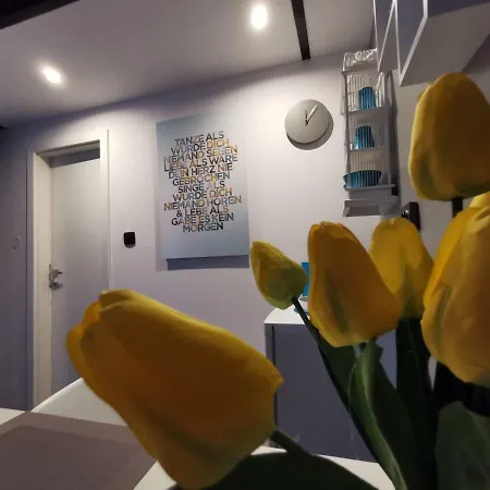 Appartement Old Town - Blue